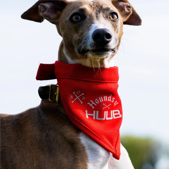 Huub Pet PET 2024 Pauelo Bandana A2- Red